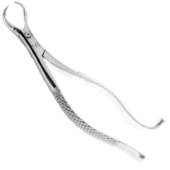 Fórceps Adulto - Quinelato Fórceps Adulto - Quinelato