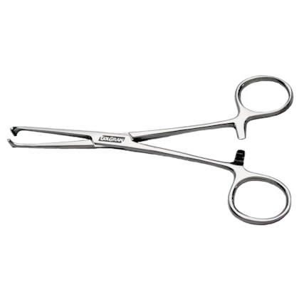 Pinça Allis 15cm - Golgran Pinça Allis 15cm - Golgran