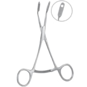 Pinça Quinelato para Prender Enxerto - Quinelato Pinça Quinelato para Prender Enxerto - Quinelato