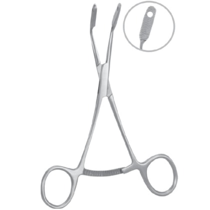 Pinça Quinelato para Prender Enxerto - Quinelato Pinça Quinelato para Prender Enxerto - Quinelato